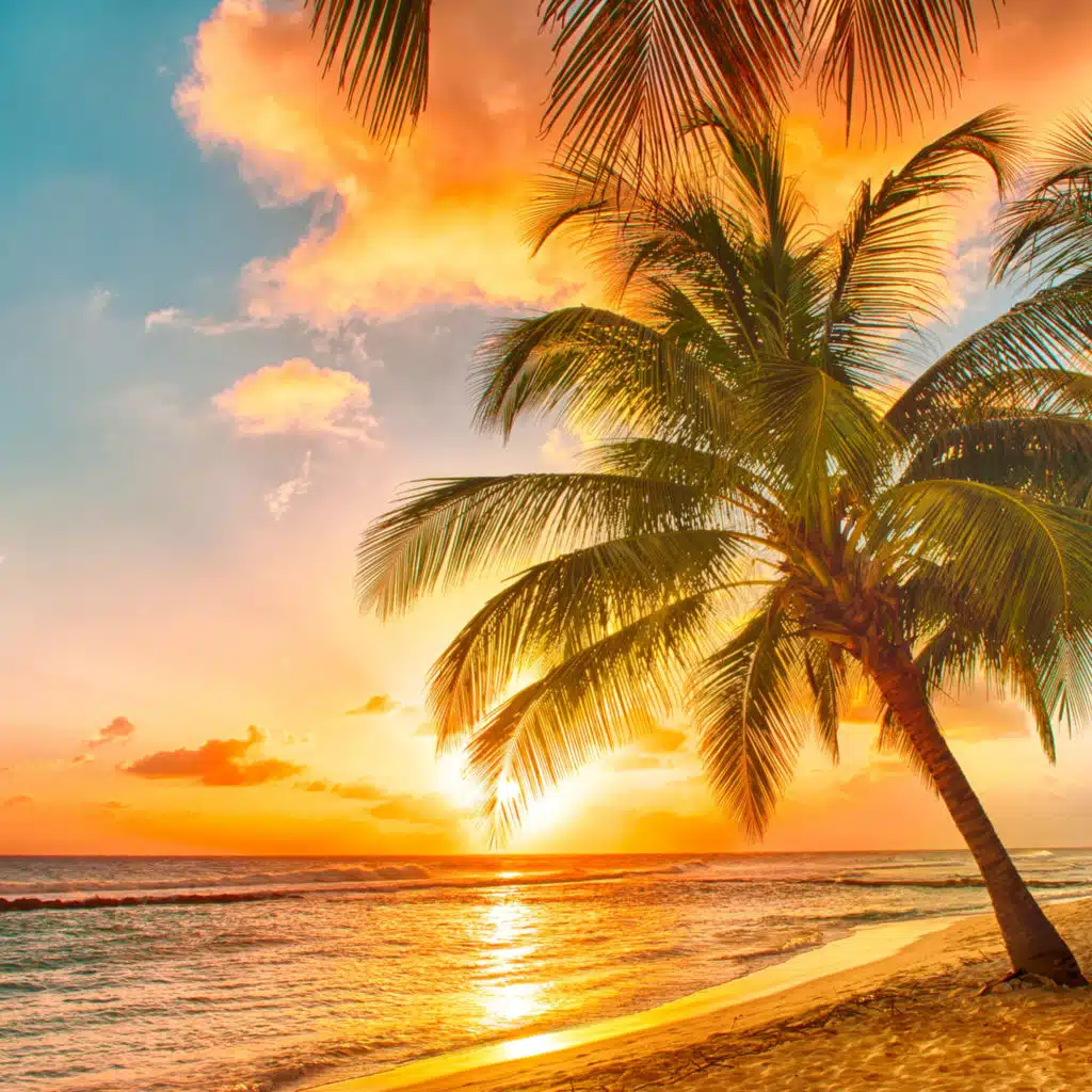 Manhã Relax (Instrumental)