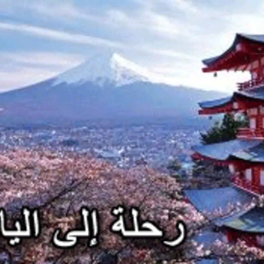 Beginner - Trip to Japan