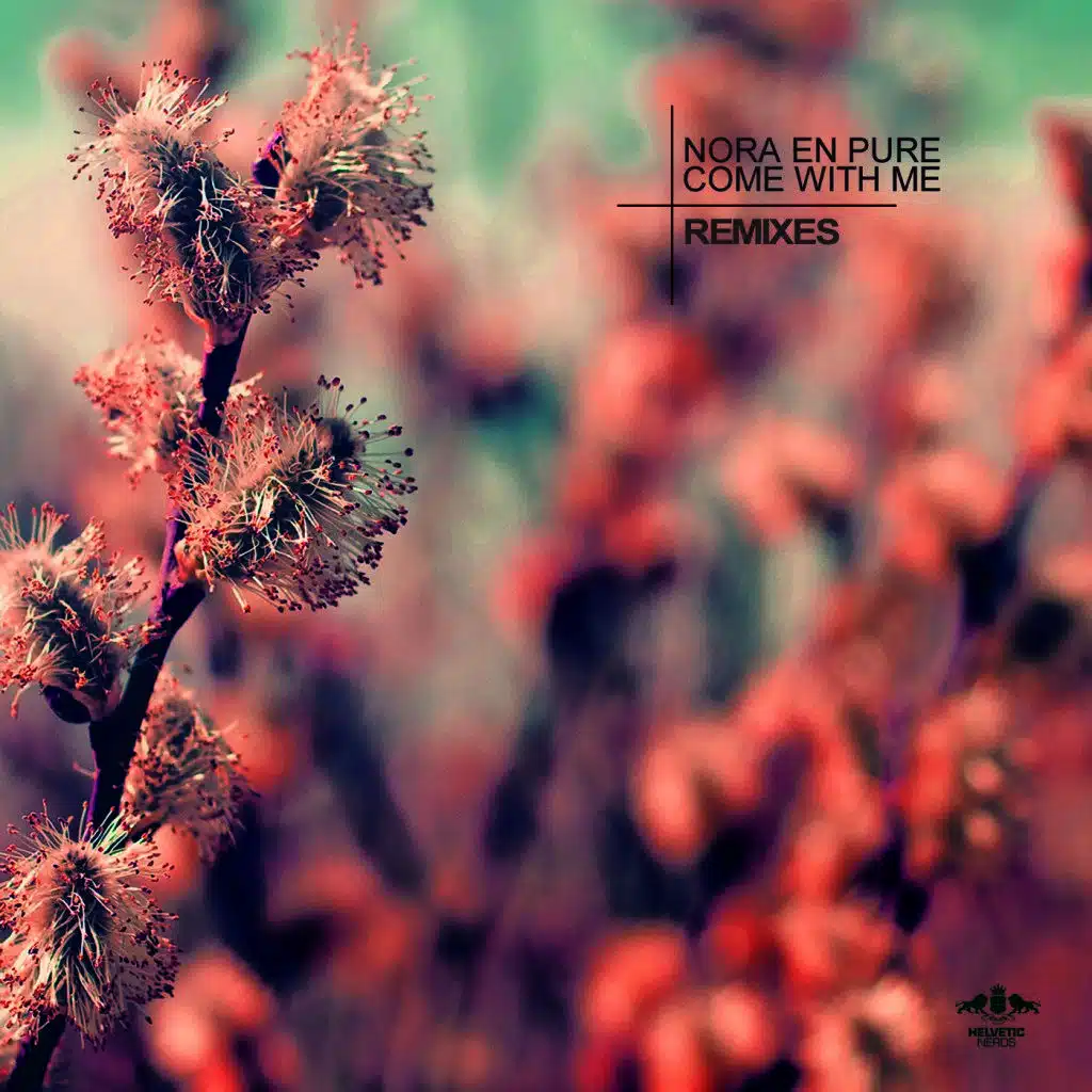 Come with Me (The Remixes)