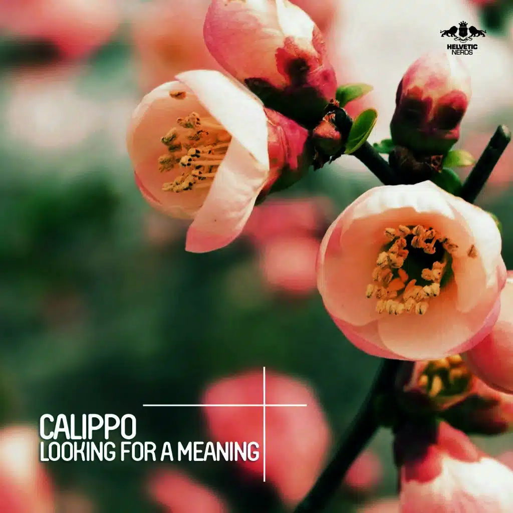 Looking for a Meaning