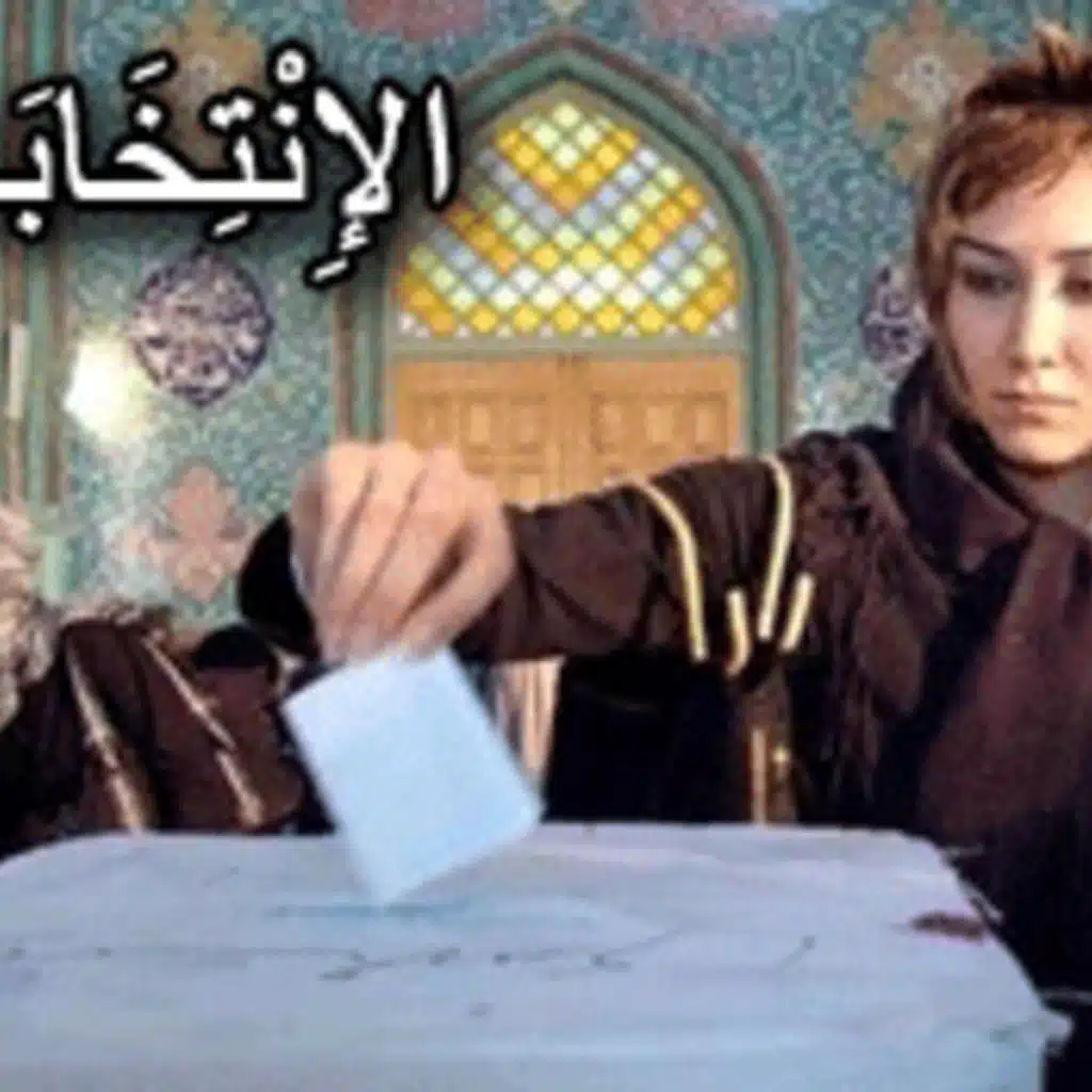 Beginner - Electing politicians