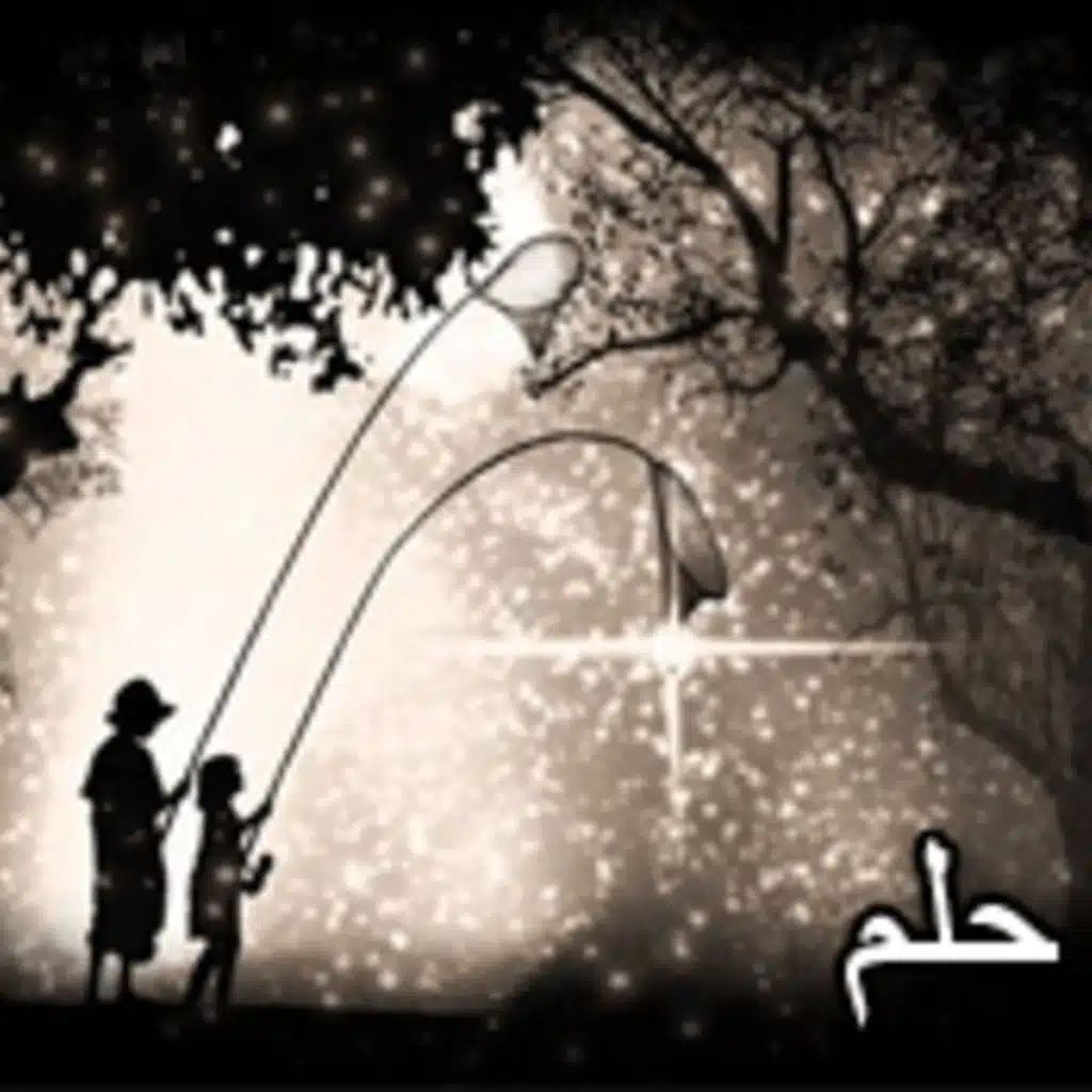 Beginner - In a dream