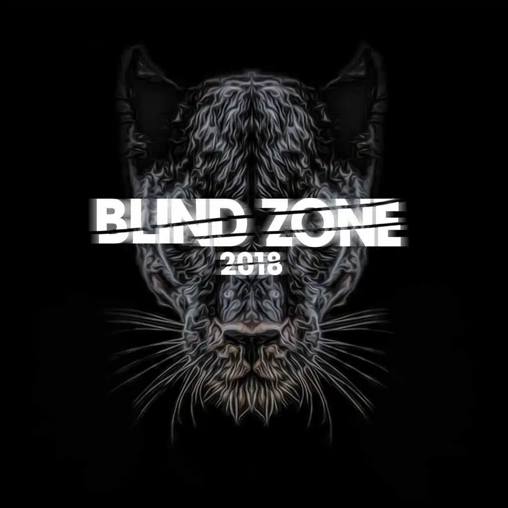 Blind Zone 2018 (feat. Broman)