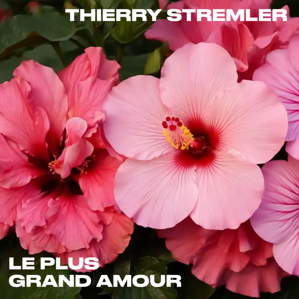 Le Plus Grand Amour (2025 Mix)