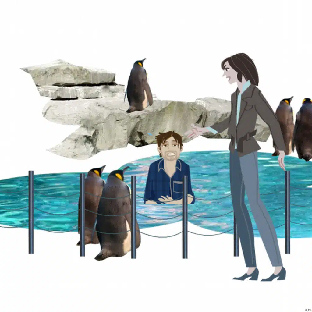 74 Zwischen Elefanten und Pinguinen