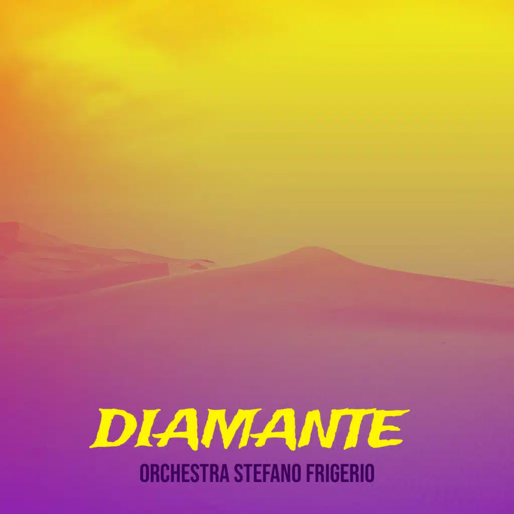 Orchestra Stefano Frigerio