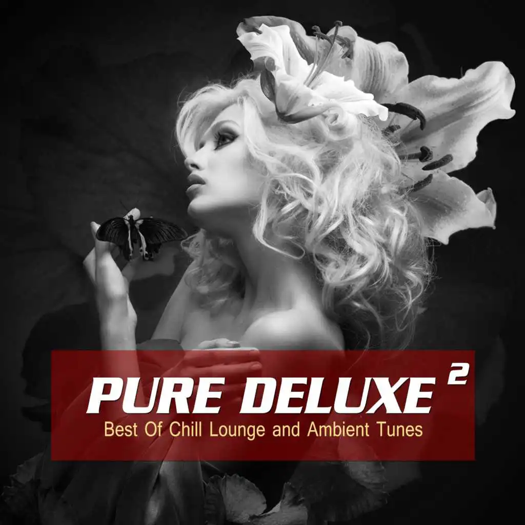 Pure Deluxe, Vol. 2 (Best of Chill Lounge and Ambient Tunes)