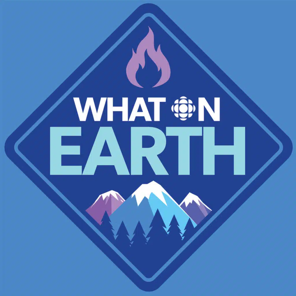 Iggy Pop’s whisky and rage-soaked take on Mother Nature