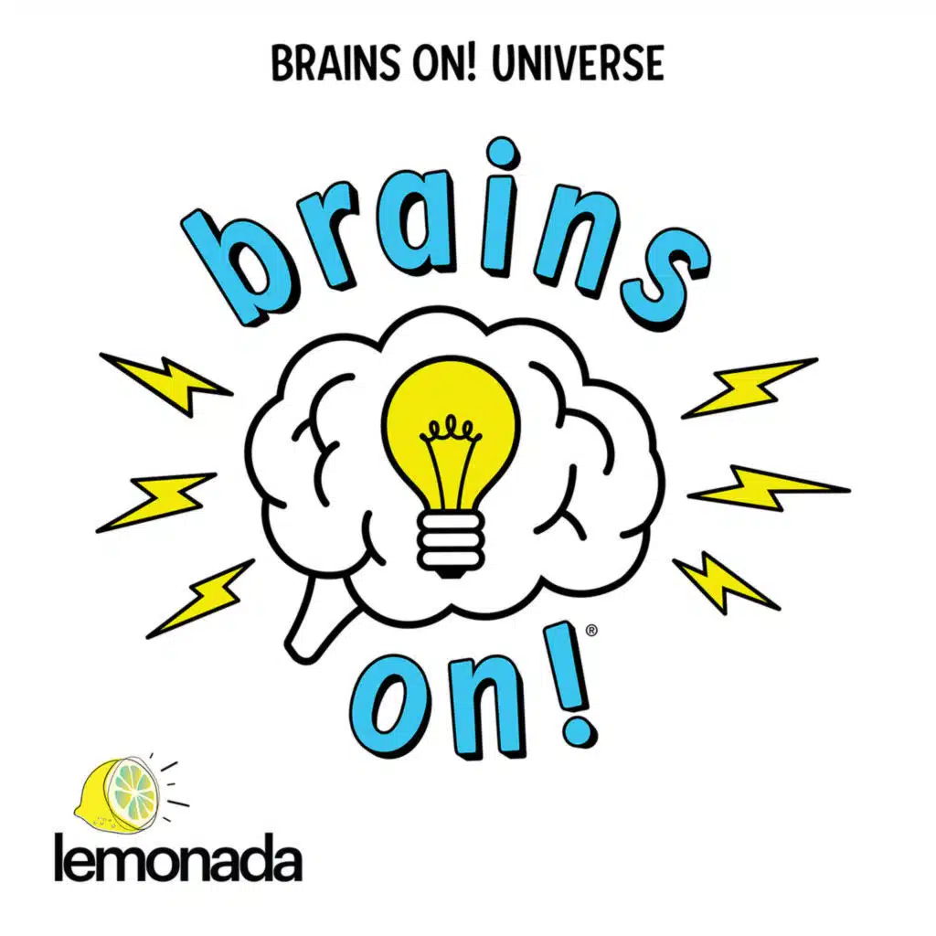 Brains On Universe