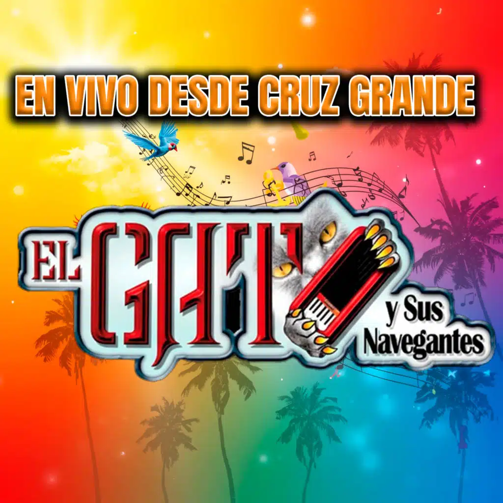 El Gato Y Sus Navegantes