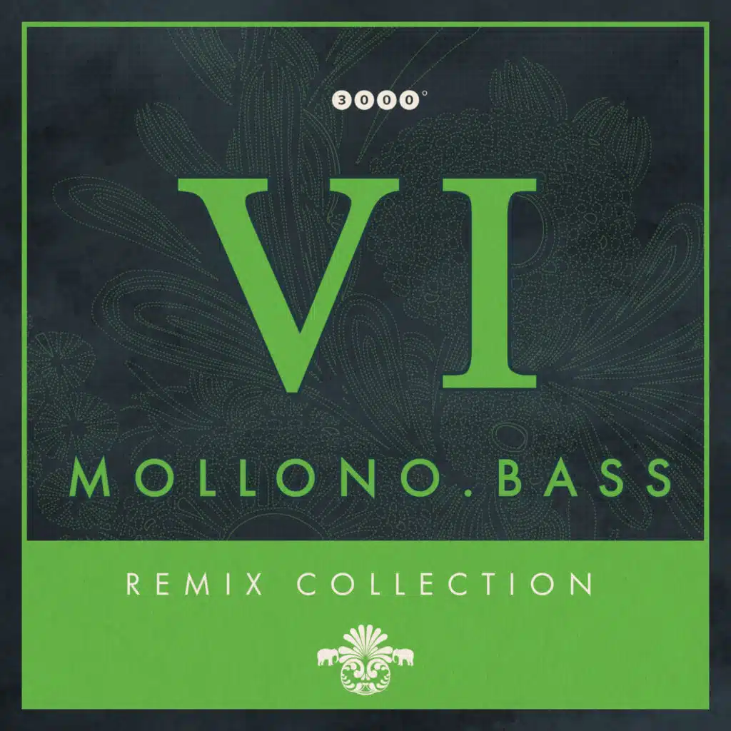 Mollono.Bass - Remix Collection 6