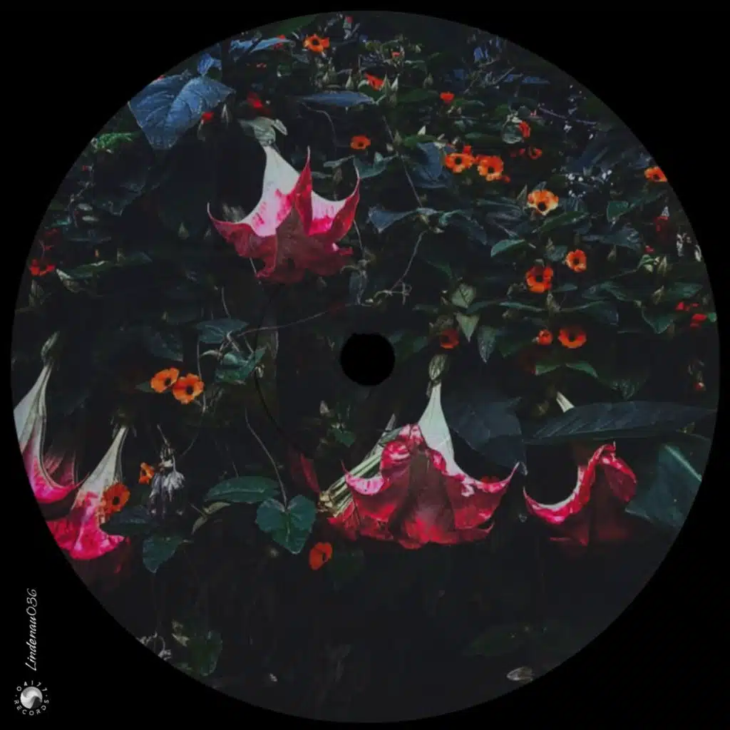 5 Years 04177 Records