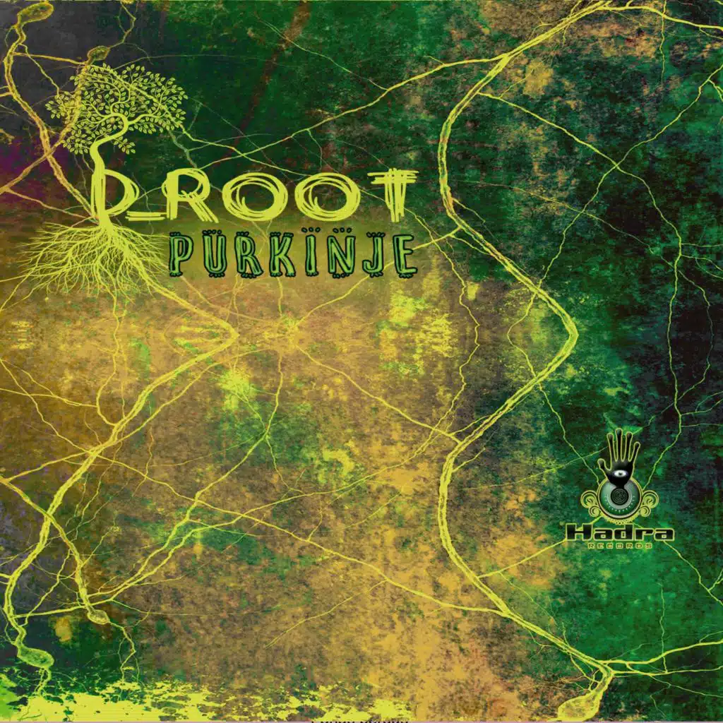 D_Root