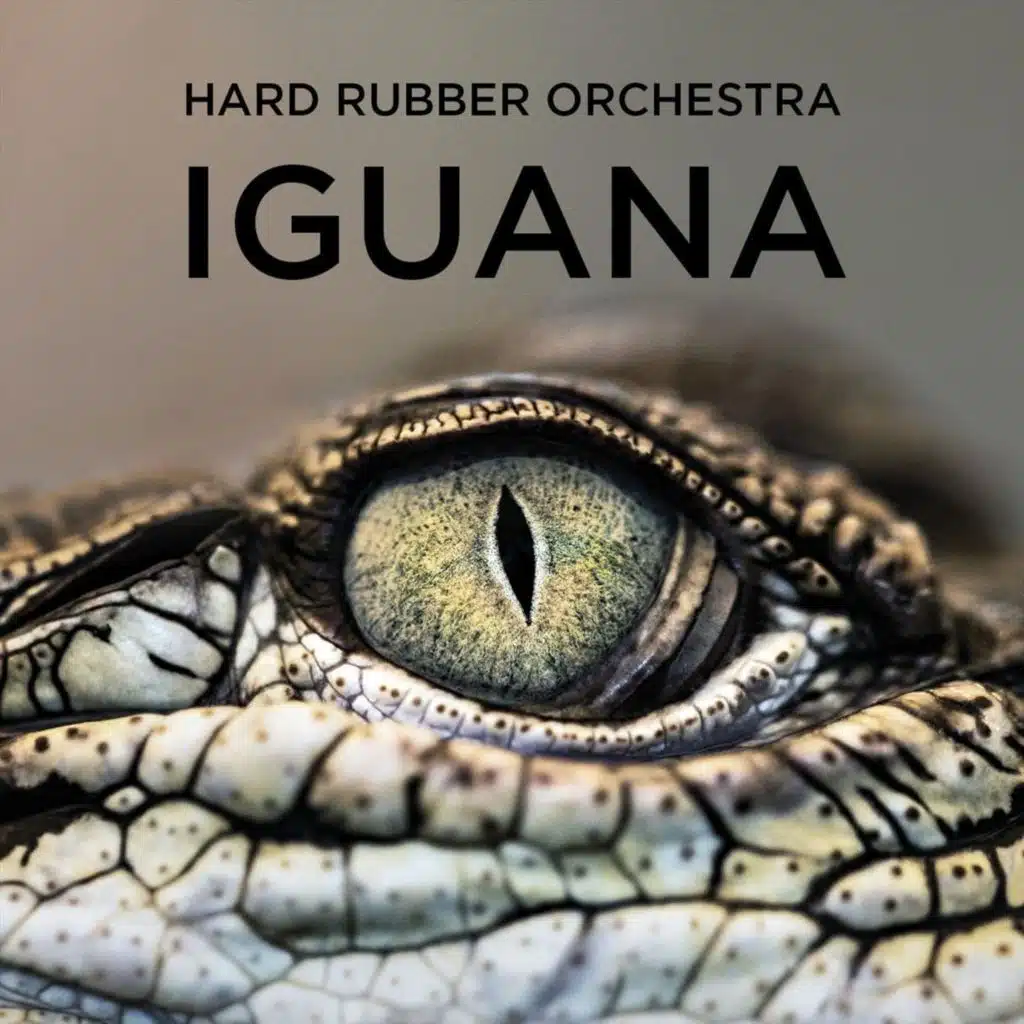 Hard Rubber Orchestra