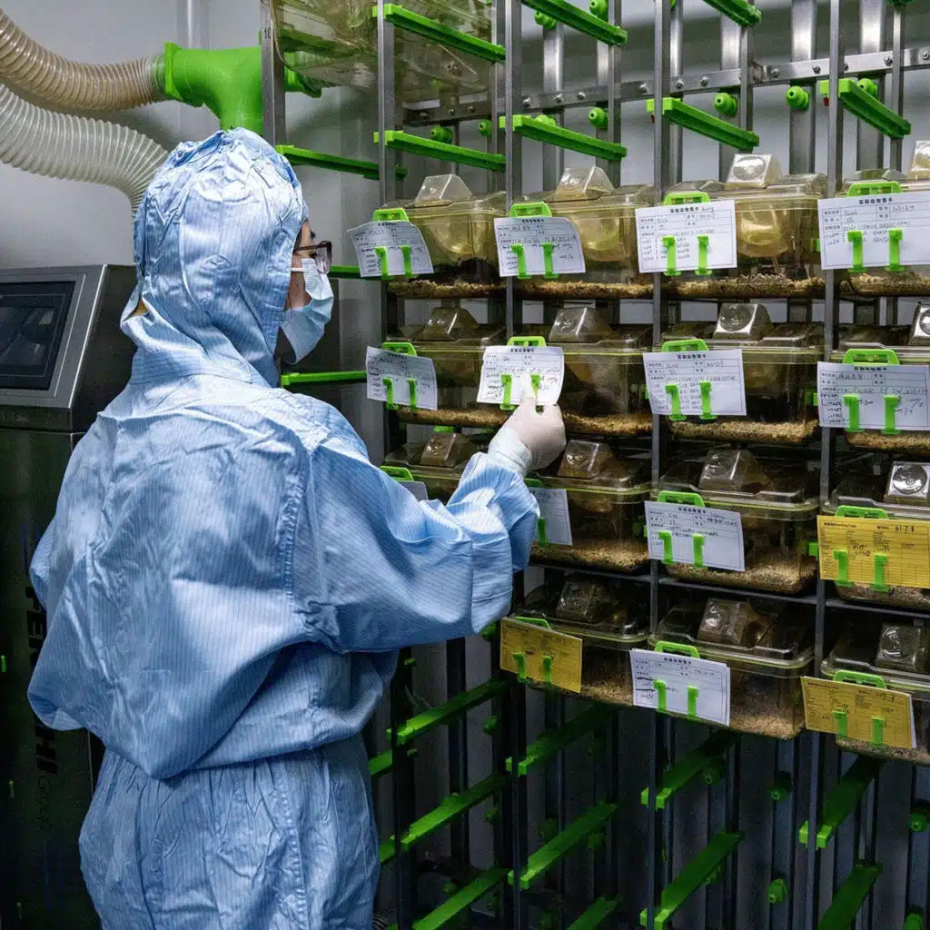 China Tests the Limits in the Race for Biotech Power