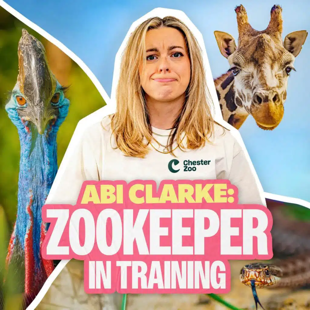 Introducing... Zookeeper in Training