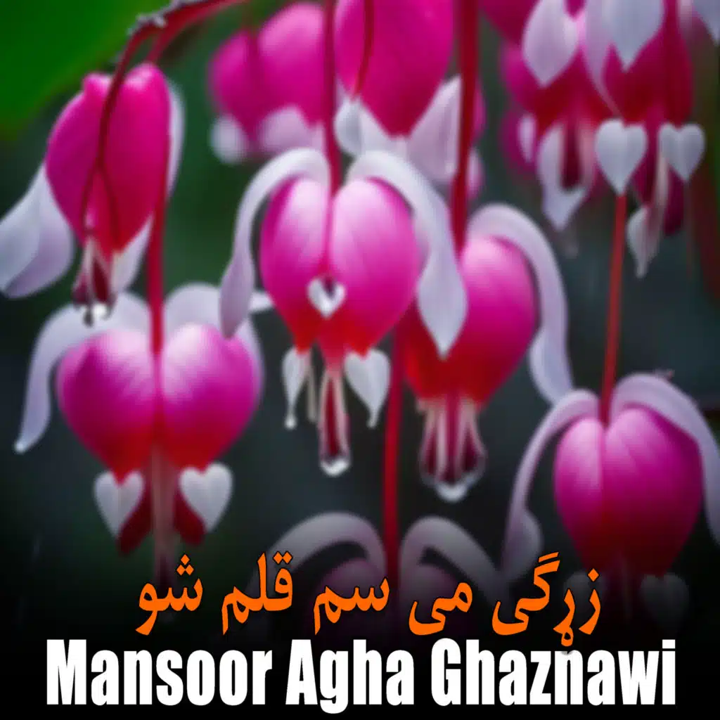 Mansoor Agha  Ghaznawi & Mansoor Agha Ghaznawi
