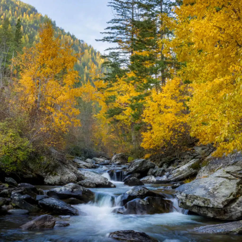 Kootenai Creek Trail