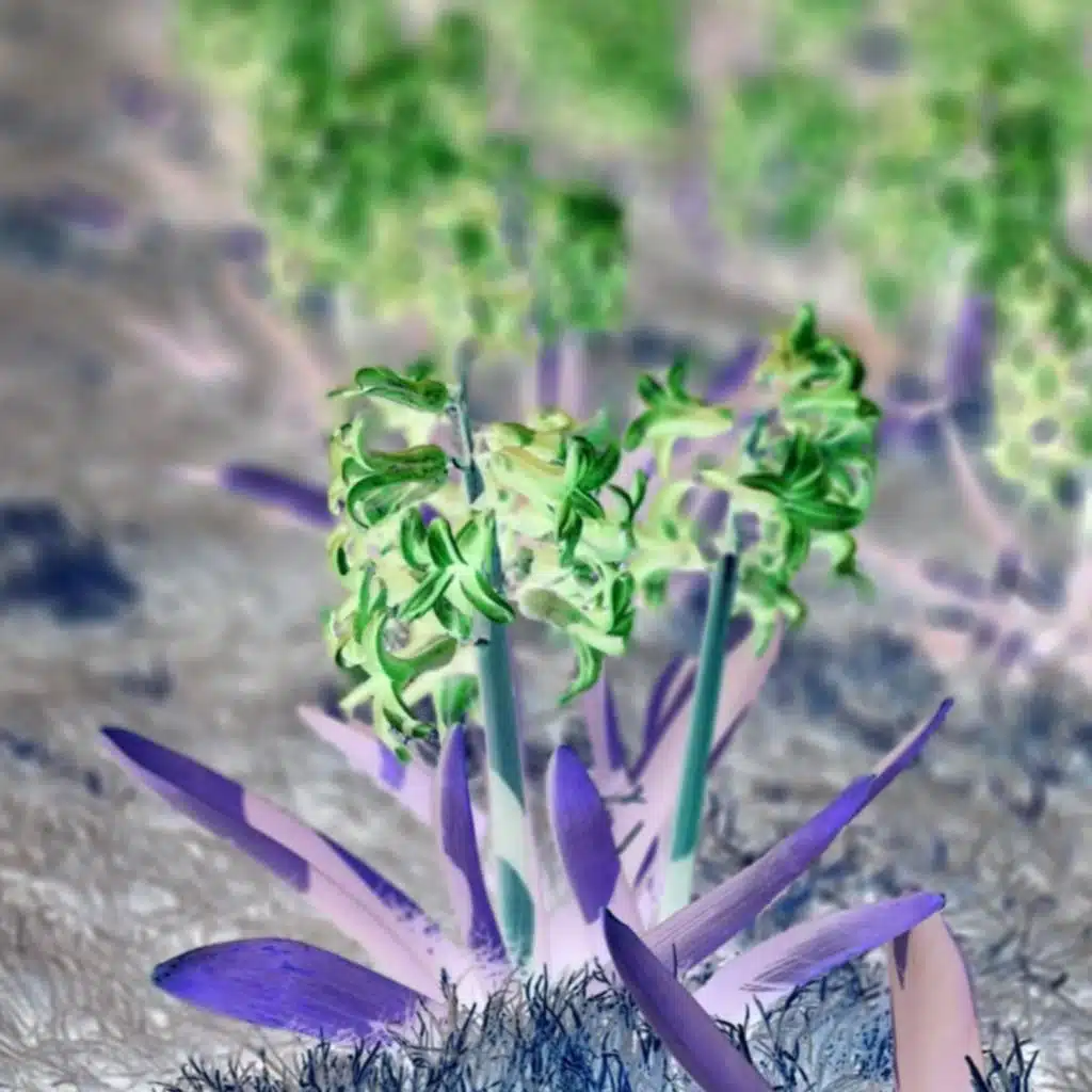 Am I Only Using One Key? (Vol.1)