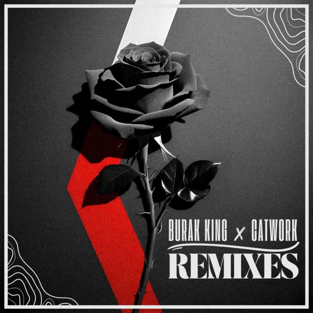 REMIXES (feat. Burak King)
