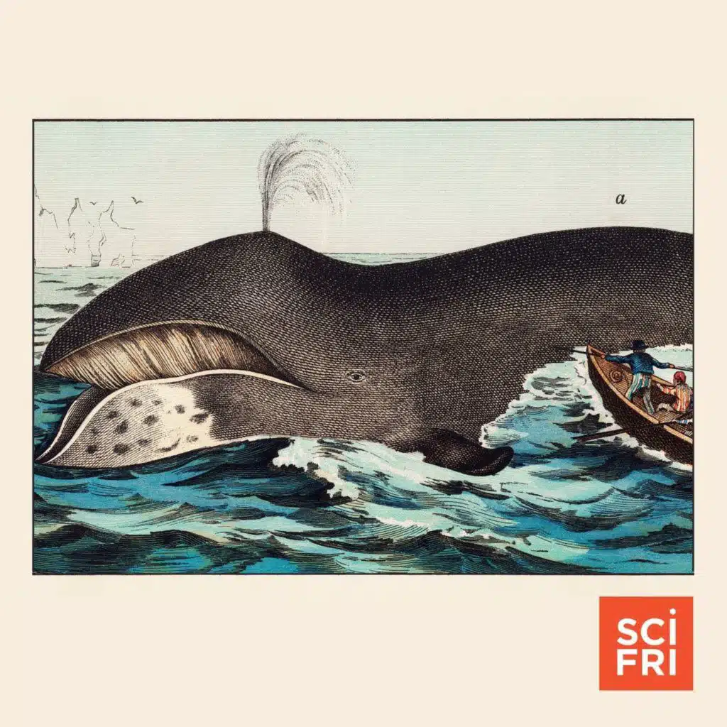 Can Animal Super-Agers Teach Us Their Secrets?