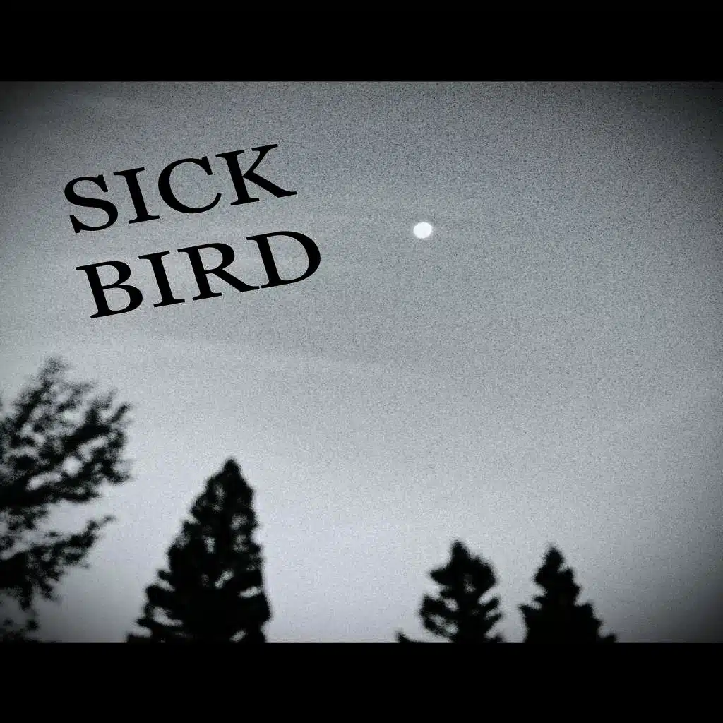 Sick Bird