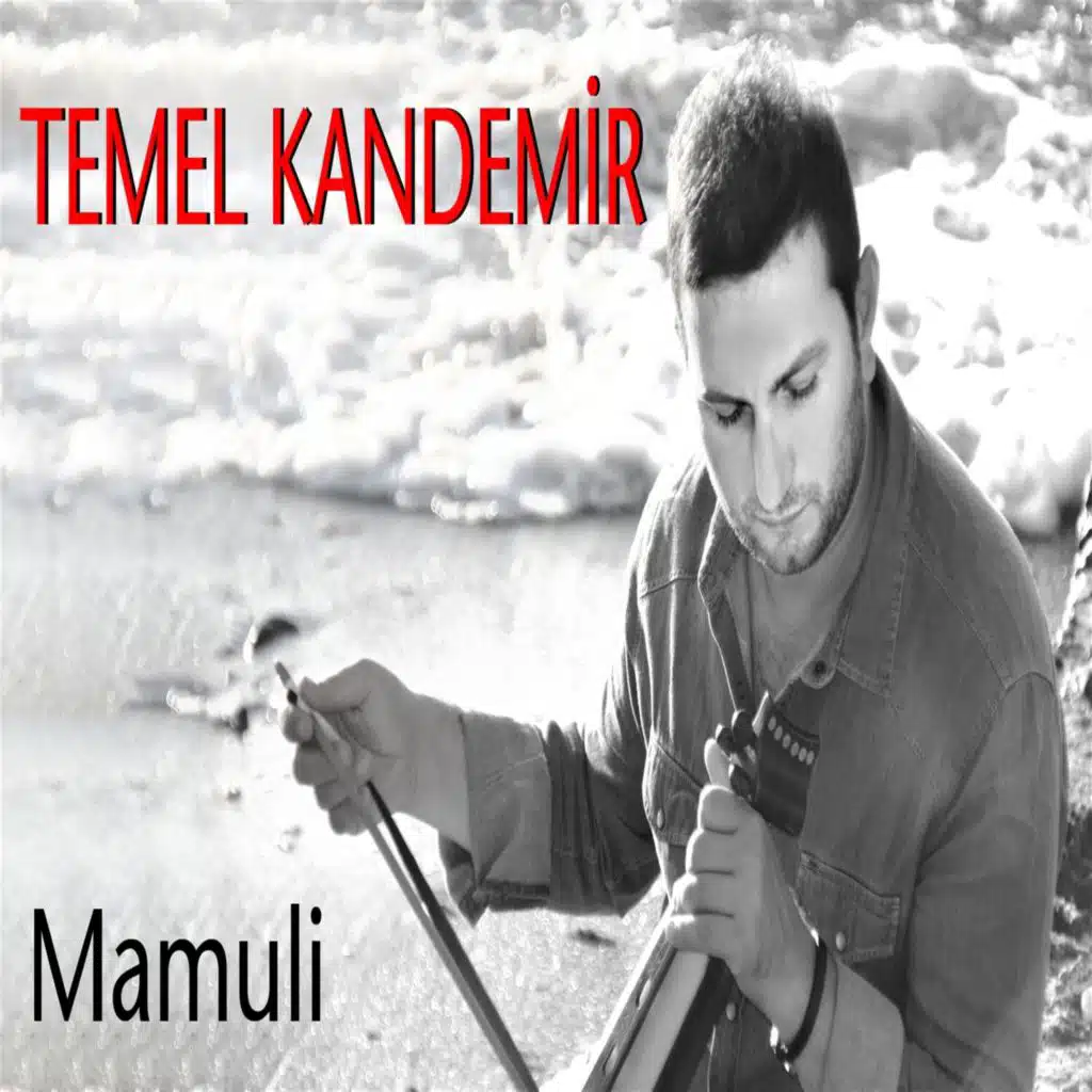 Temel Kandemir