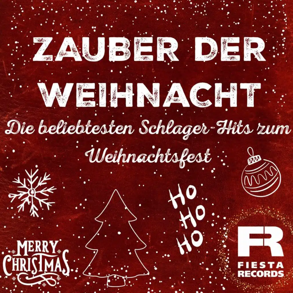Ring Diggy Dong Weihnachtssong (Radio Mix)