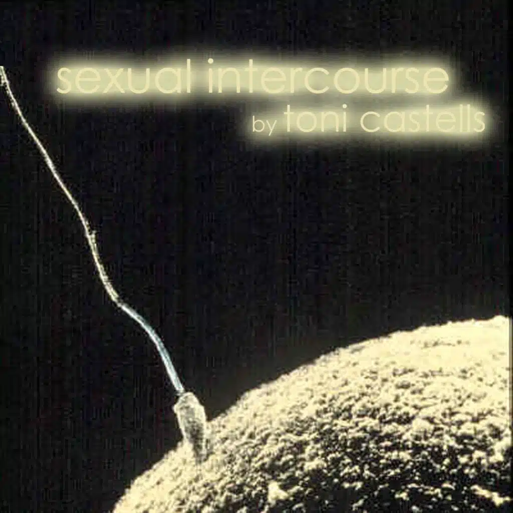 Sexual Intercourse (feat. Rebecca Nelsen)