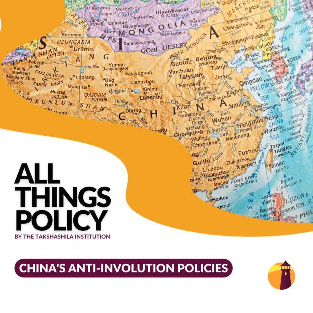 China's Anti-involution Policies