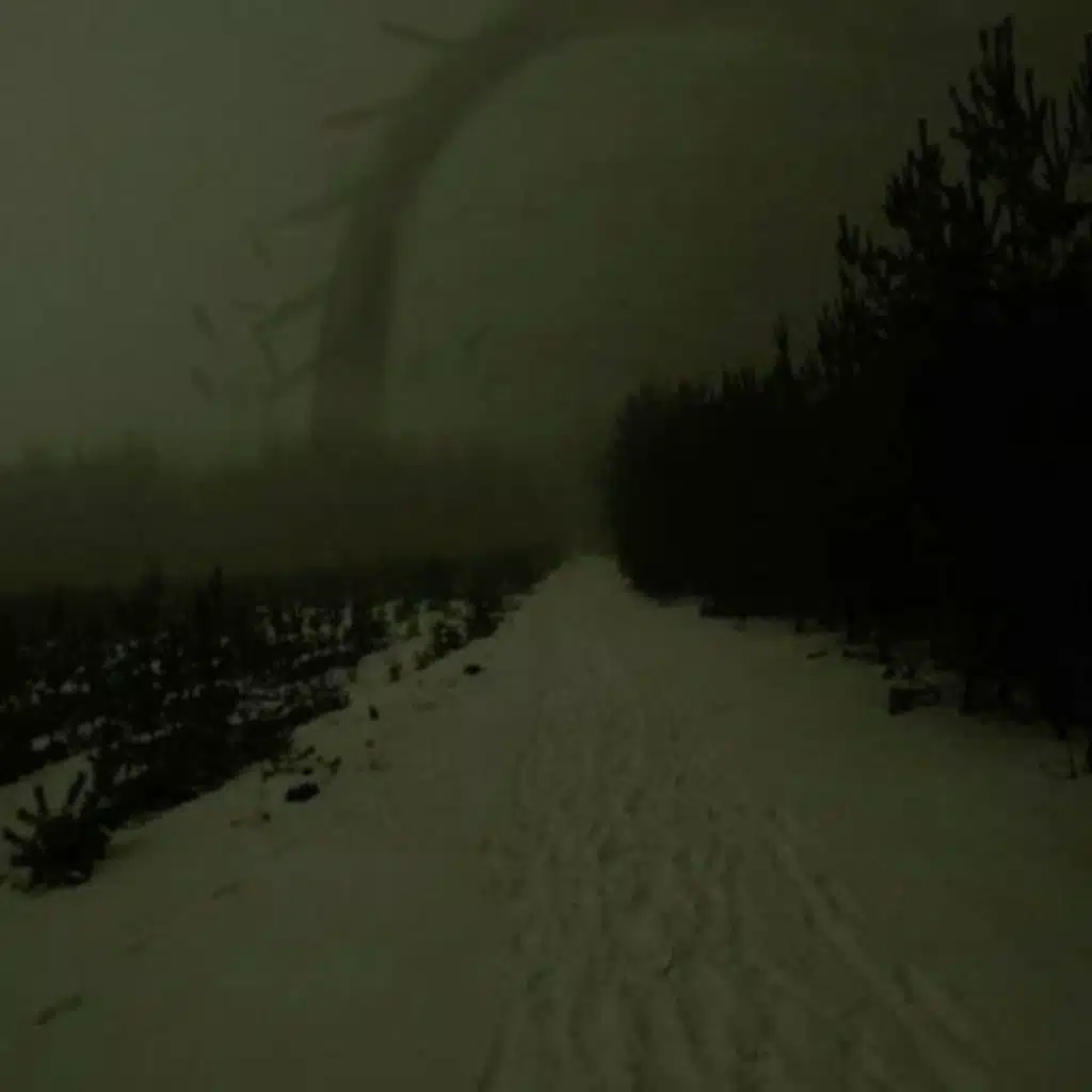 lost.exe & Luke Muzzic