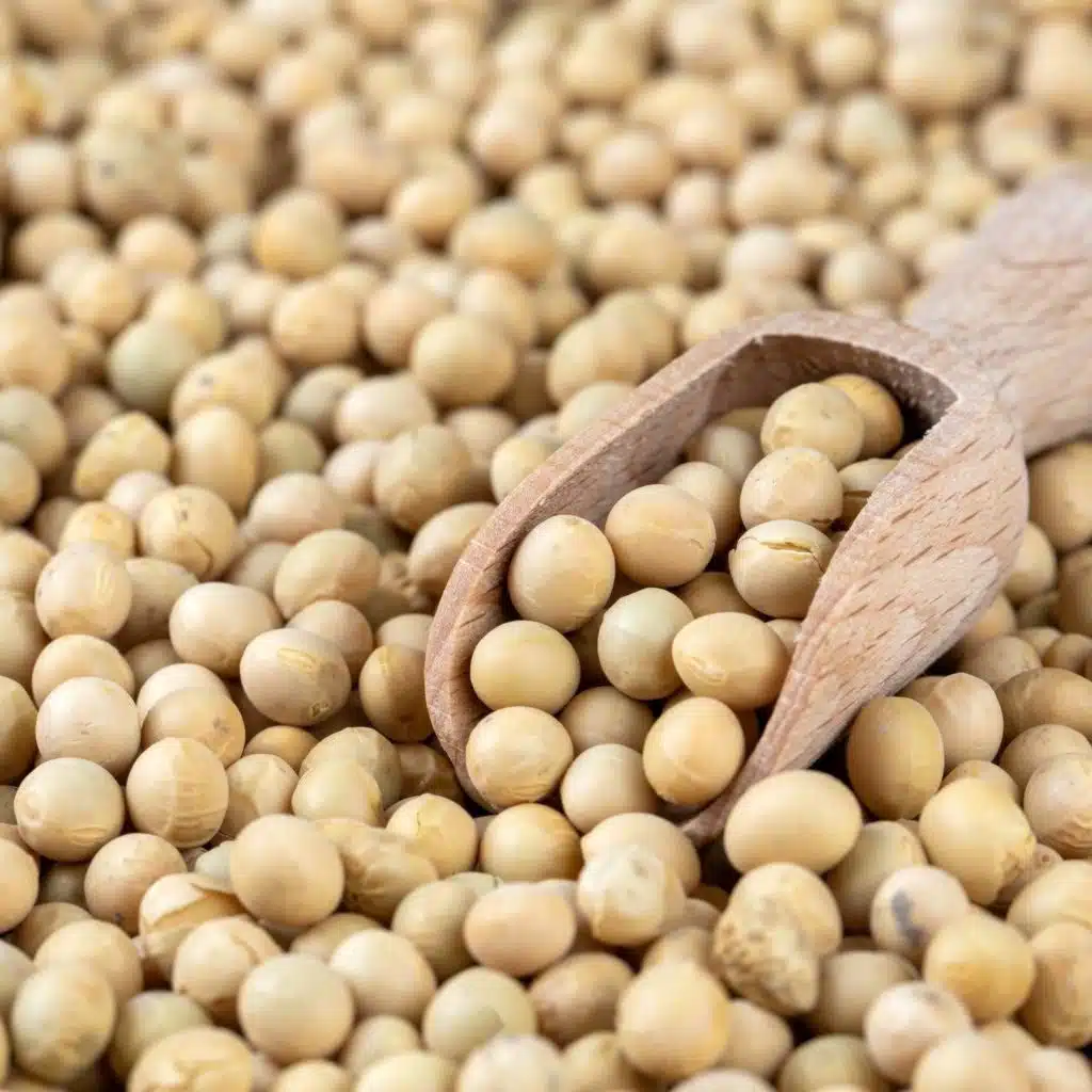 Too little, too late?