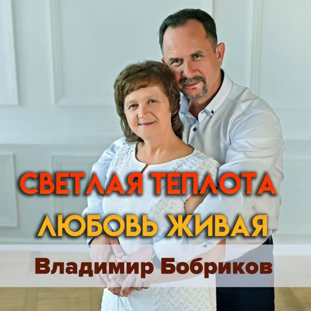 Владимир Бобриков