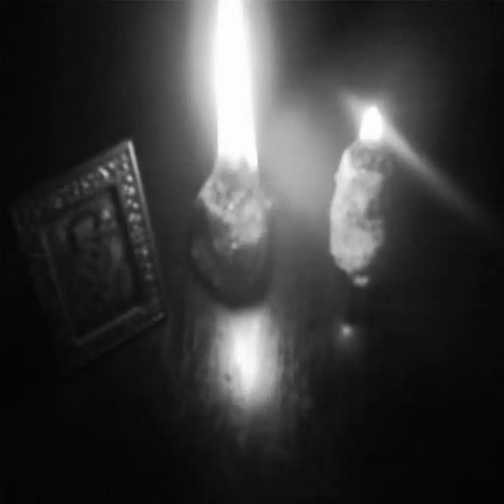 FSH PLAN (feat. revu)