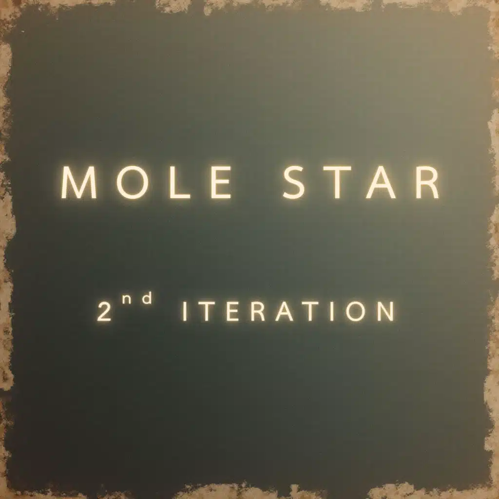 Molestar