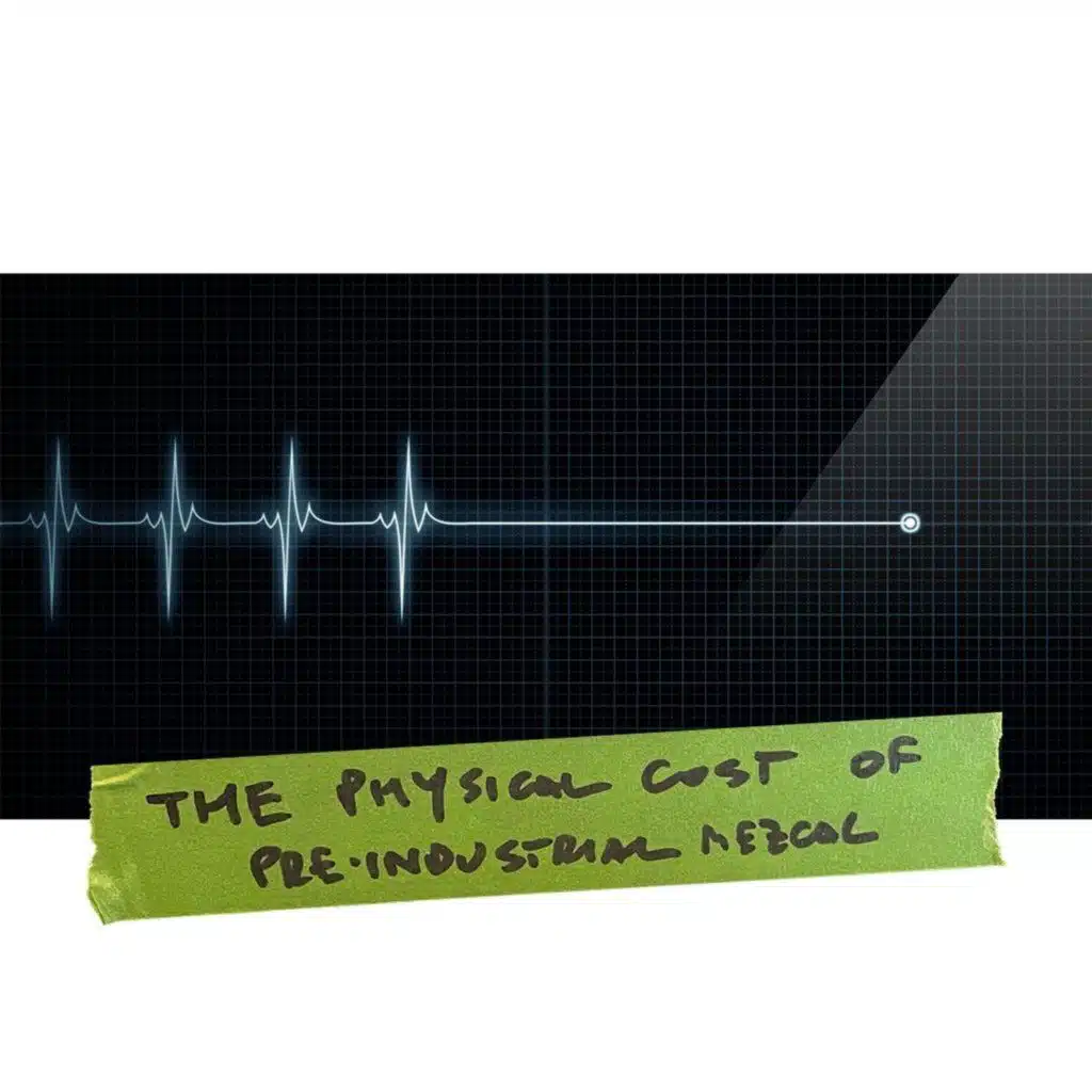 The physical cost of pre-industrial Mezcal