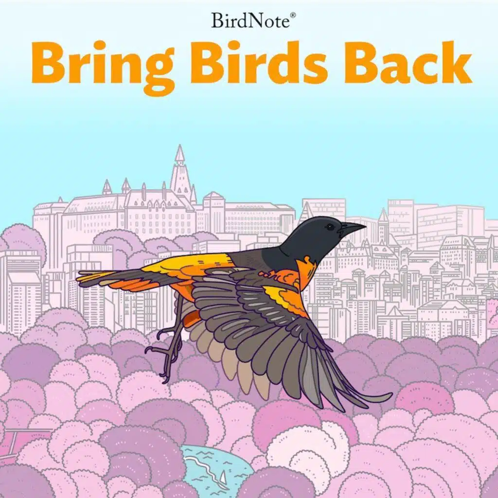Biomimicry, Birds and Beyond with adrienne maree brown