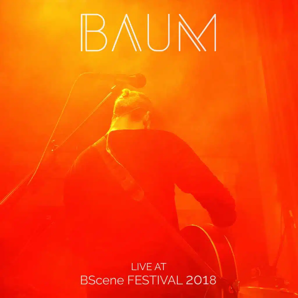 Live At BScene Festival 2018