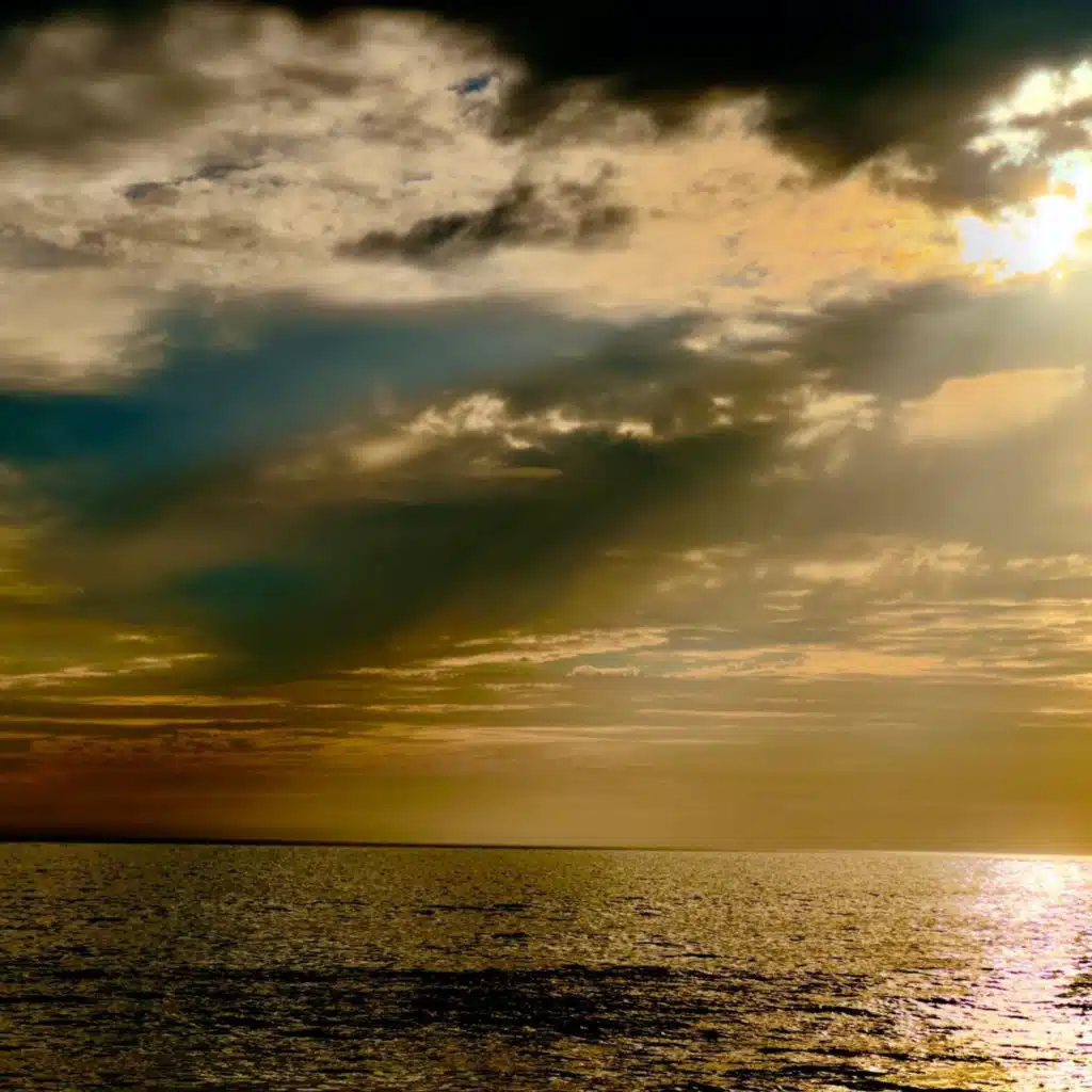 Hasan Özsüt & Işıl Özsüt