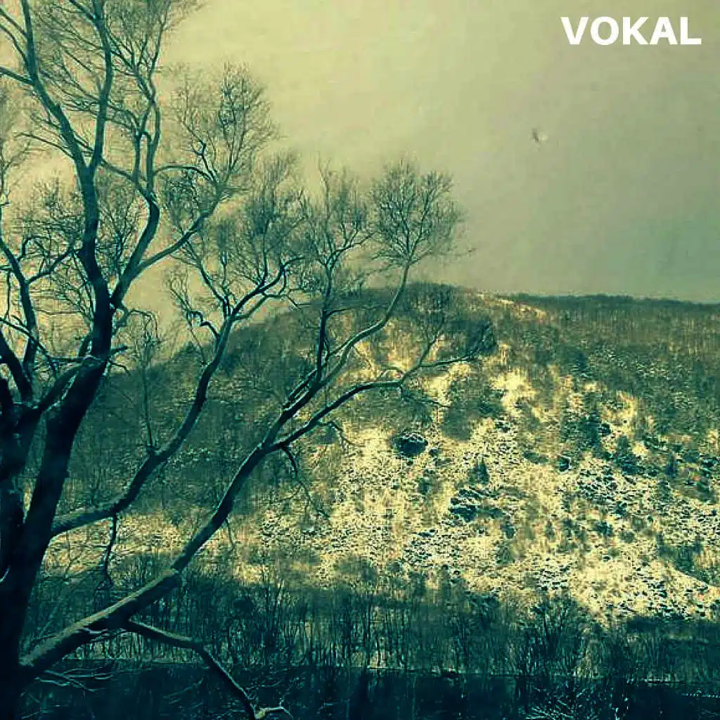 Vokal (Deluxe Reissue)