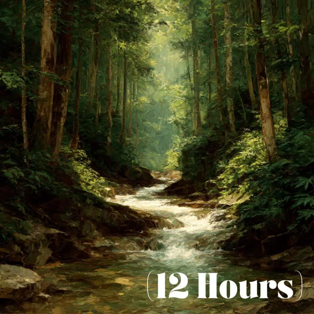 Gentle Splashing Stream | Sleep Sound (12 Hours)
