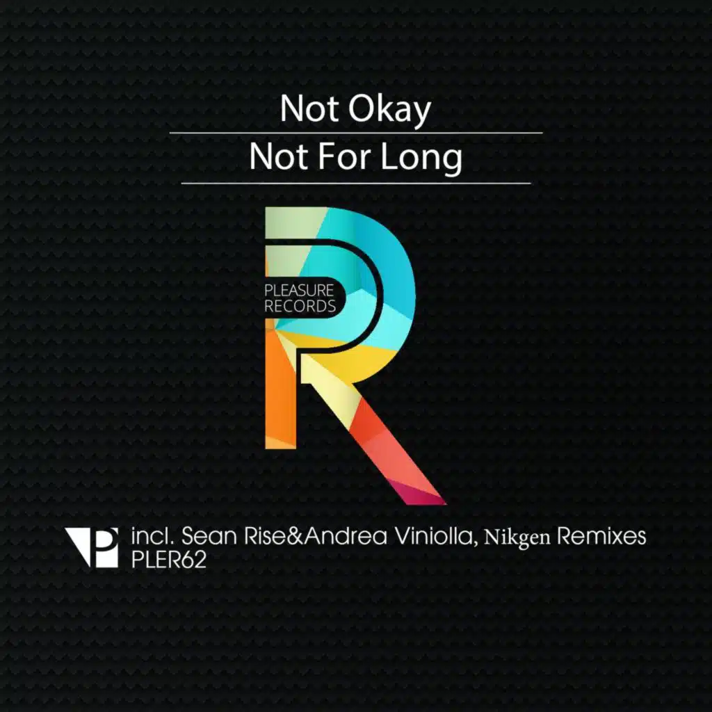 Not for Long (Sean Rise & Andrea Viniolla Remix)