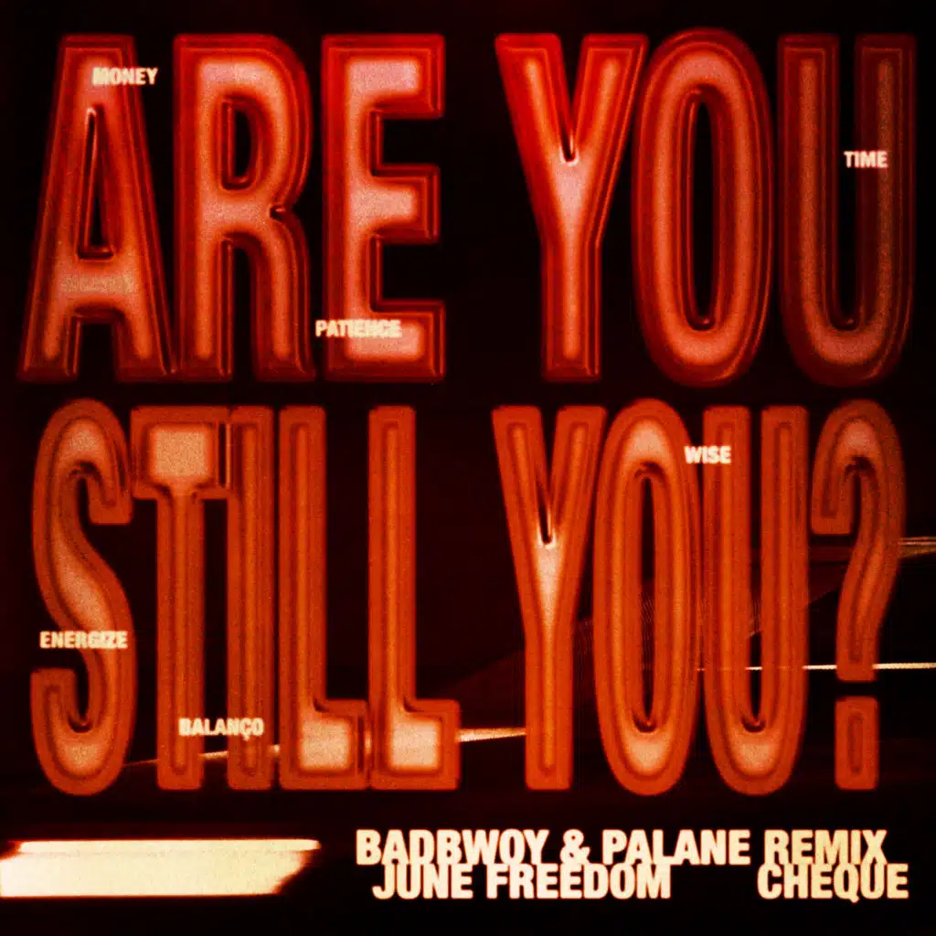Are You Still You? (Badbwoy & Palane Remix)