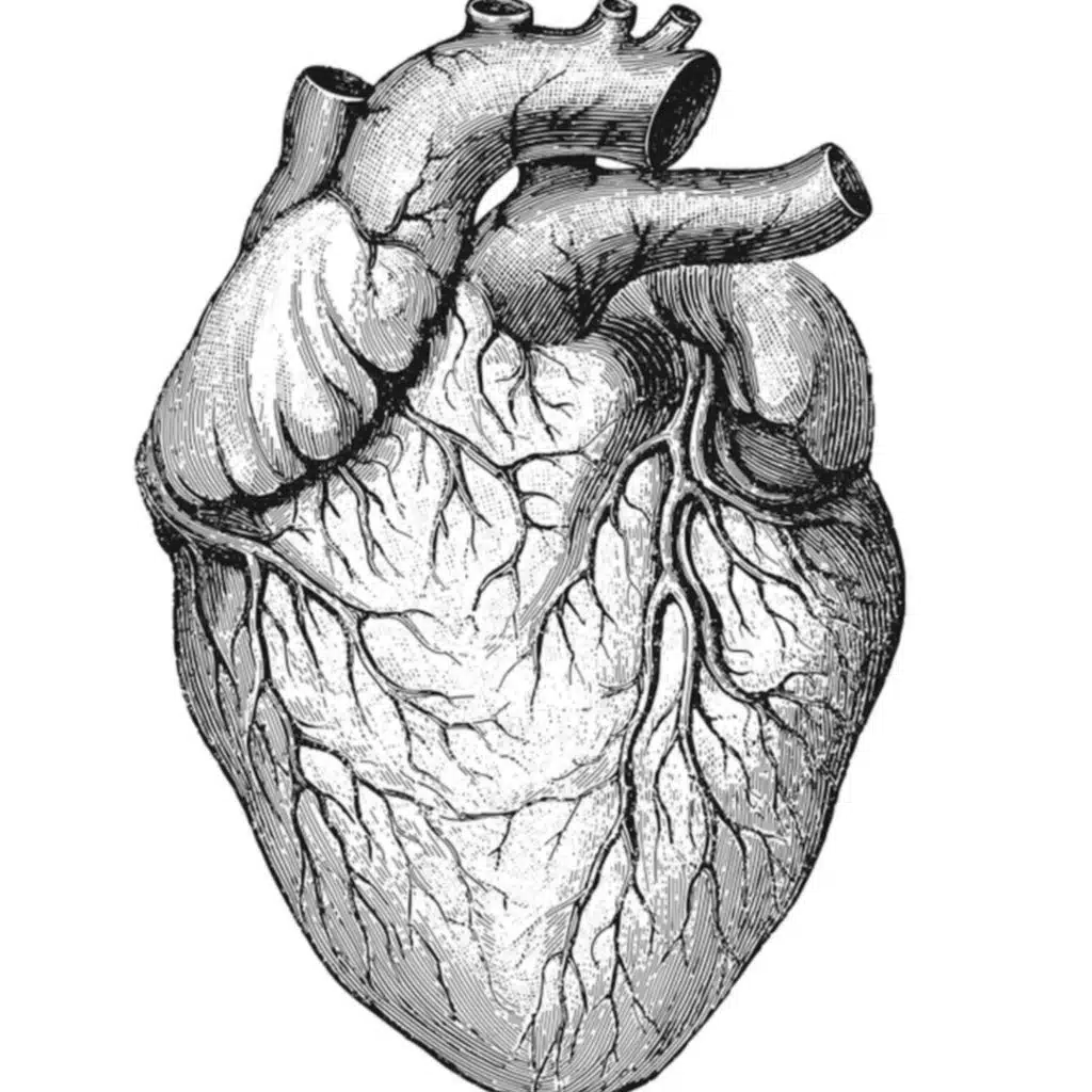 Episode 182.0 – Wellens