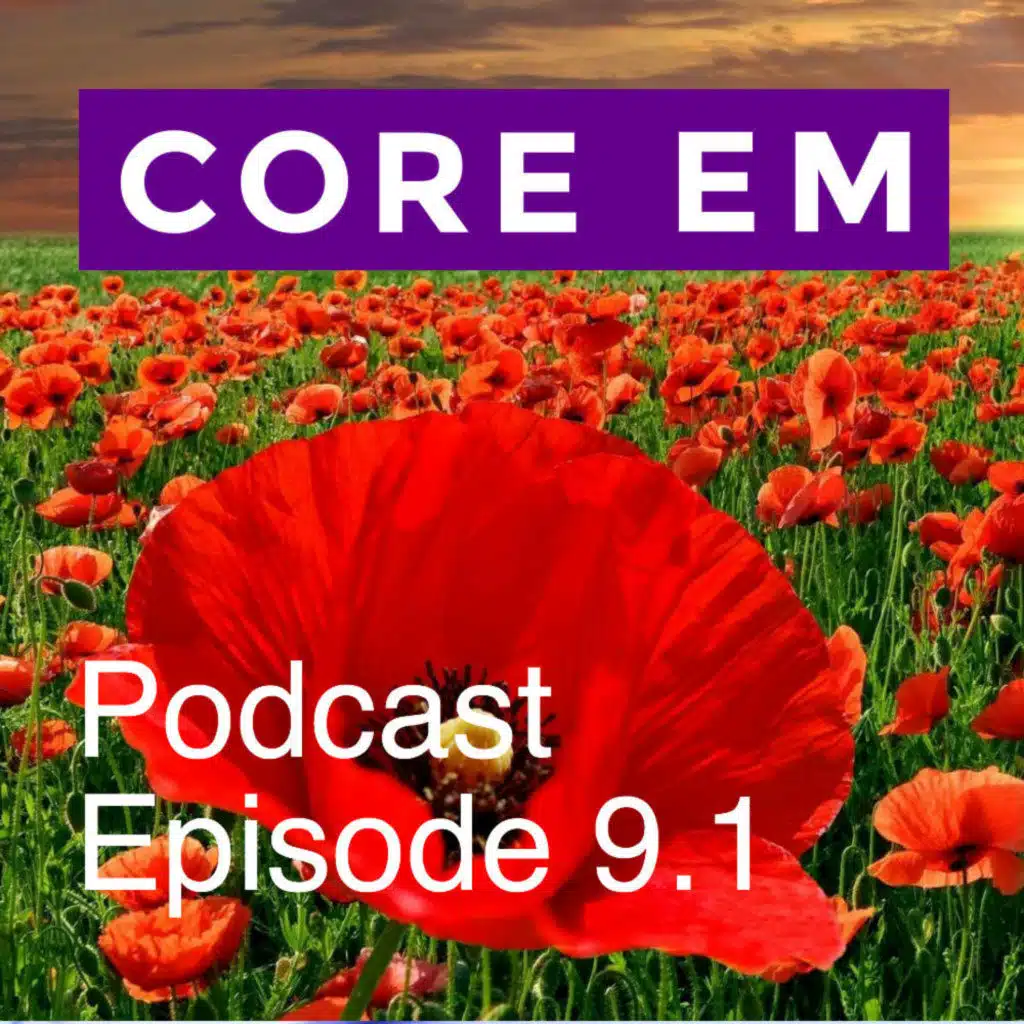 Episode 9.1 – The Evolution of Pain Management with Sergey Motov