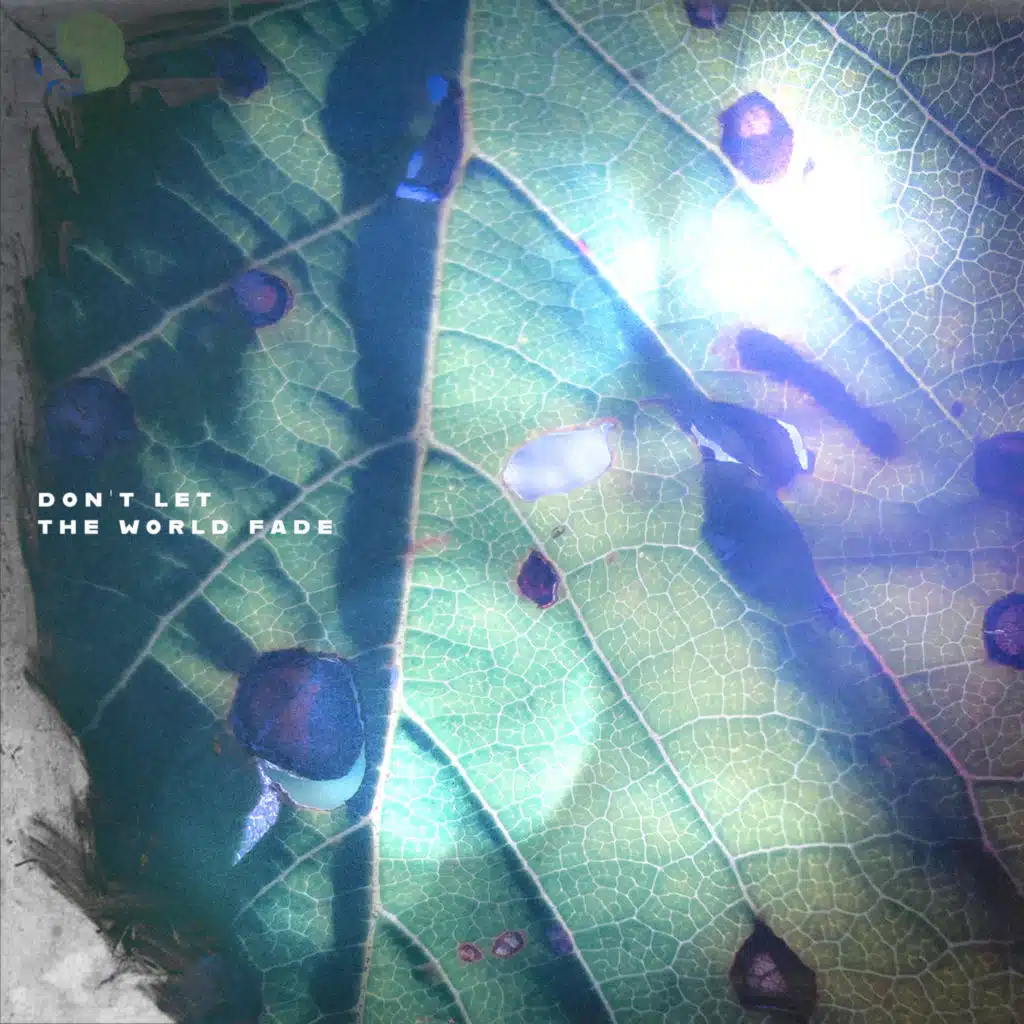 Mellow dive & Davide Perico