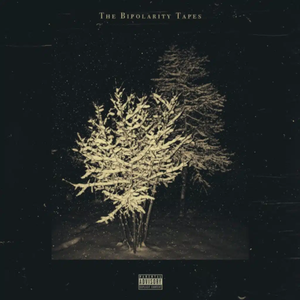 Don't Worry Bees Only Sting When You Make Them Mad