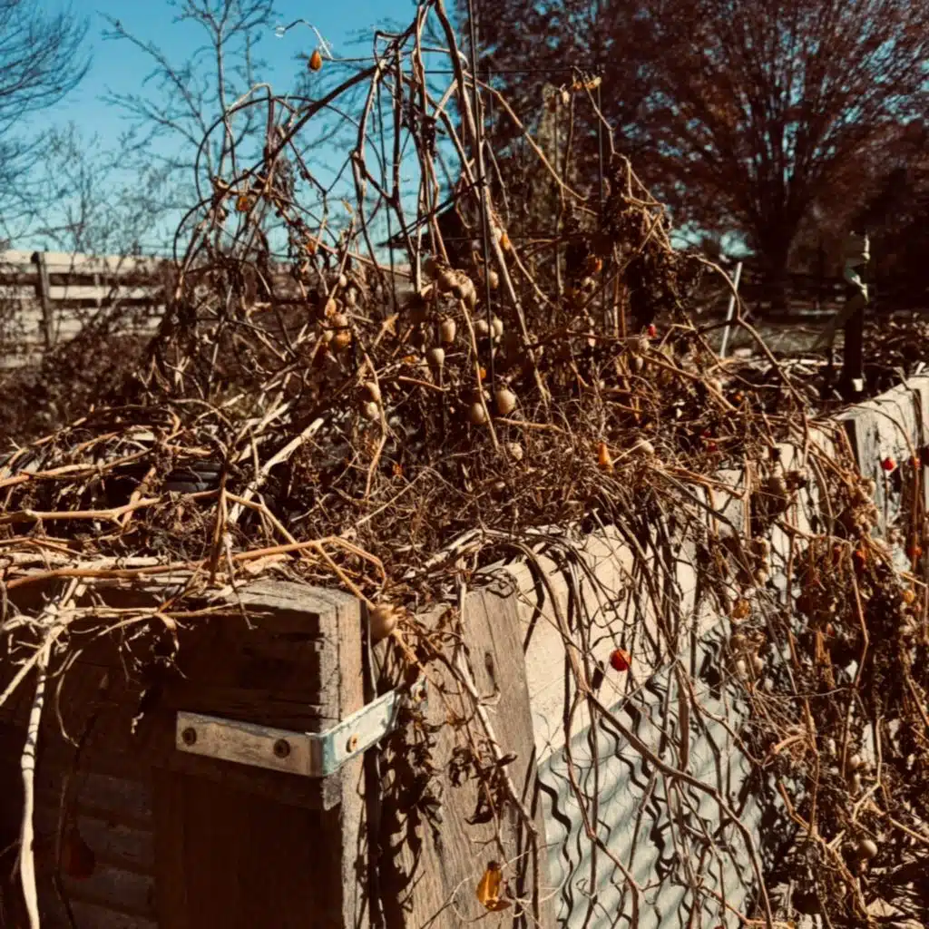 Mountain People Worship