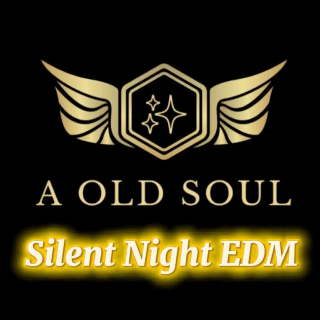 Silent Night EDM 2025