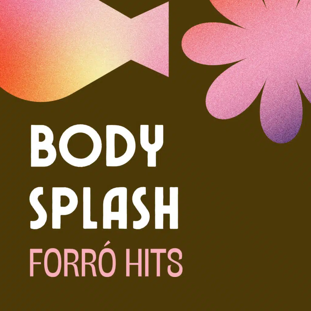 Hits Do Brasil & Forró Hits